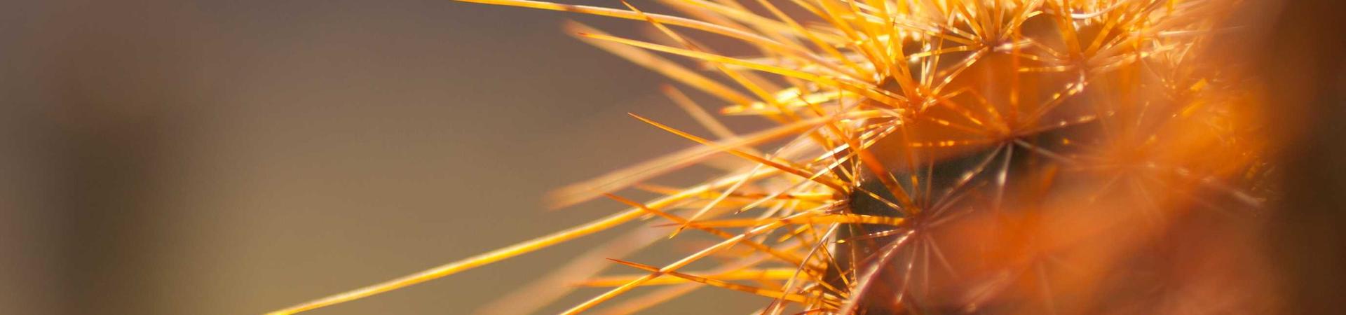武汉七维创意网络科技有限公司 &middot; 碧土运营中心